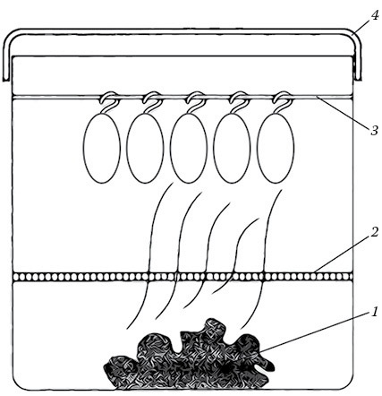 Иллюстрация к книге — Пряная бастурма и ветчина [i_005.jpg]