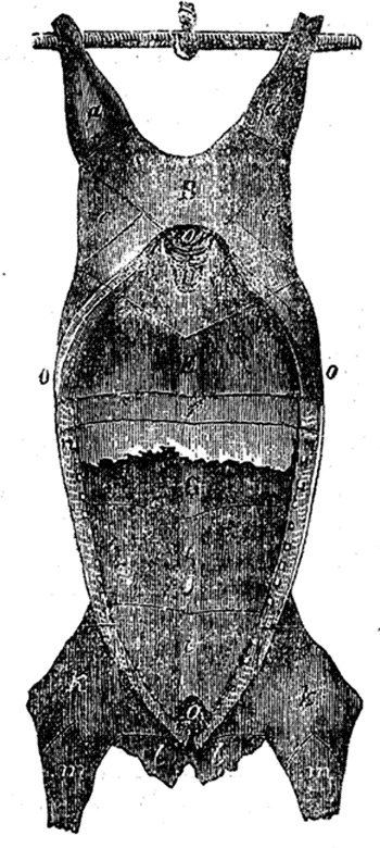 Иллюстрация к книге — Поваренная книга русской опытной хозяйки. Супы и похлебки [i_005.jpg]