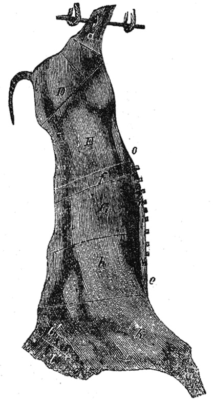 Иллюстрация к книге — Поваренная книга русской опытной хозяйки. Супы и похлебки [i_006.jpg]