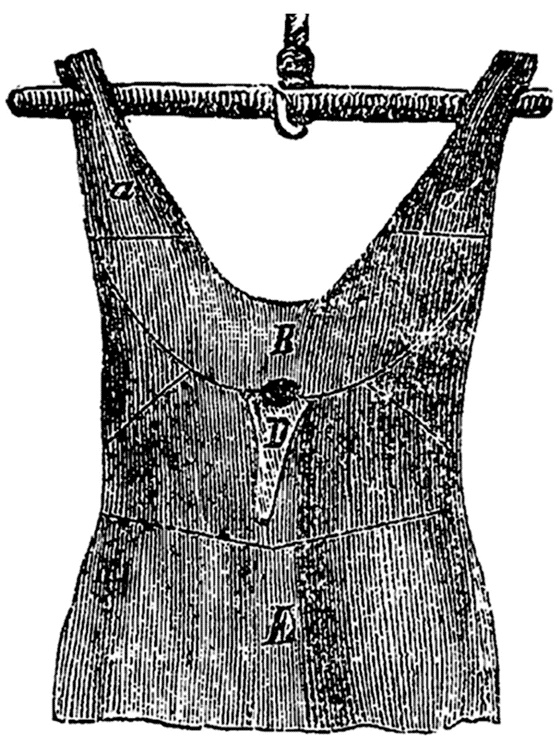 Иллюстрация к книге — Поваренная книга русской опытной хозяйки. Супы и похлебки [i_007.jpg]