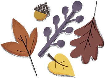 Иллюстрация к книге — Невероятные истории про любимых питомцев [i_031.jpg]