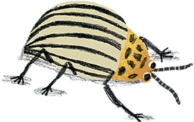 Иллюстрация к книге — Невероятные истории про любимых питомцев [i_034.jpg]