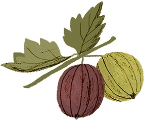 Иллюстрация к книге — Невероятные истории про любимых питомцев [i_050.jpg]