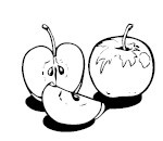 Иллюстрация к книге — Мультиварка. Блиц-рецепты! Самые вкусные! Cамые быстрые! [i_185.jpg]