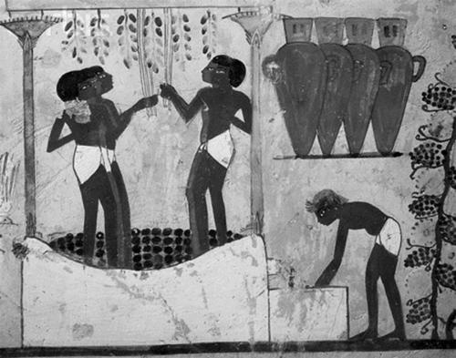 Иллюстрация к книге — 300 рецептов ухода за кожей. Маски. Пилинг. Лифтинг. Против морщин и угрей. Против целлюлита и рубцов [i_026.jpg]