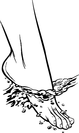 Иллюстрация к книге — 300 рецептов ухода за кожей. Маски. Пилинг. Лифтинг. Против морщин и угрей. Против целлюлита и рубцов [i_029.jpg]