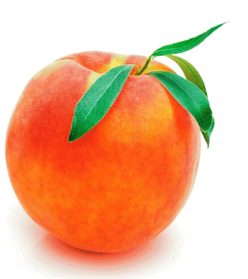 Иллюстрация к книге — Теперь я ем все, что хочу! Система питания Давида Яна [_31.jpg]