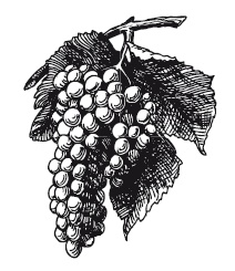 Иллюстрация к книге — 365 рецептов на каждый день [i_002.jpg]