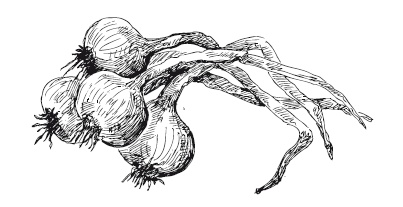 Иллюстрация к книге — 365 рецептов на каждый день [i_004.jpg]