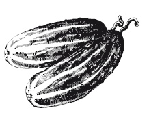 Иллюстрация к книге — 365 рецептов на каждый день [i_006.jpg]