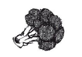 Иллюстрация к книге — 365 рецептов на каждый день [i_014.jpg]