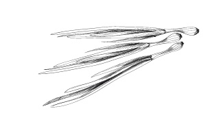 Иллюстрация к книге — 365 рецептов на каждый день [i_020.jpg]