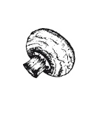 Иллюстрация к книге — 365 рецептов на каждый день [i_022.jpg]