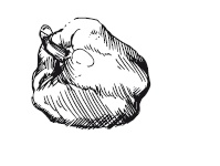 Иллюстрация к книге — 365 рецептов на каждый день [i_026.jpg]