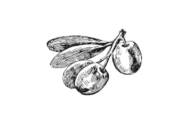 Иллюстрация к книге — 365 рецептов на каждый день [i_032.jpg]