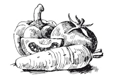 Иллюстрация к книге — 365 рецептов на каждый день [i_039.jpg]