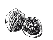 Иллюстрация к книге — 365 рецептов на каждый день [i_052.jpg]