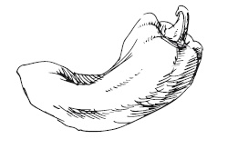 Иллюстрация к книге — 365 рецептов на каждый день [i_061.jpg]