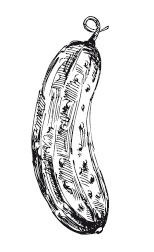 Иллюстрация к книге — 365 рецептов на каждый день [i_071.jpg]