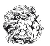 Иллюстрация к книге — 365 рецептов на каждый день [i_086.jpg]