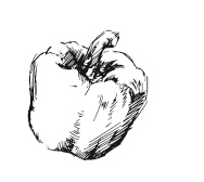 Иллюстрация к книге — 365 рецептов на каждый день [i_094.jpg]