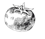 Иллюстрация к книге — 365 рецептов на каждый день [i_105.jpg]