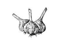 Иллюстрация к книге — 365 рецептов на каждый день [i_107.jpg]