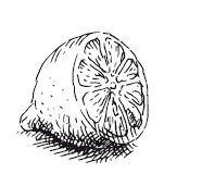 Иллюстрация к книге — 365 рецептов на каждый день [i_110.jpg]