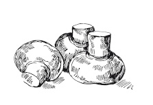 Иллюстрация к книге — 365 рецептов на каждый день [i_113.jpg]