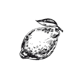 Иллюстрация к книге — 365 рецептов на каждый день [i_120.jpg]