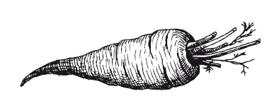 Иллюстрация к книге — 365 рецептов на каждый день [i_121.jpg]