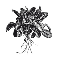 Иллюстрация к книге — 365 рецептов на каждый день [i_126.jpg]