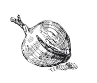 Иллюстрация к книге — 365 рецептов на каждый день [i_134.jpg]