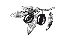 Иллюстрация к книге — 365 рецептов на каждый день [i_138.jpg]