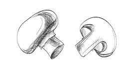 Иллюстрация к книге — 365 рецептов на каждый день [i_140.jpg]