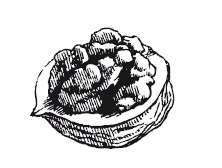 Иллюстрация к книге — 365 рецептов на каждый день [i_141.jpg]