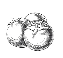 Иллюстрация к книге — 365 рецептов на каждый день [i_151.jpg]