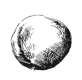 Иллюстрация к книге — 365 рецептов на каждый день [i_152.jpg]