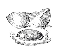 Иллюстрация к книге — 365 рецептов на каждый день [i_156.jpg]