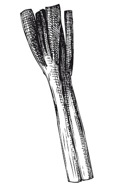 Иллюстрация к книге — 365 рецептов на каждый день [i_159.jpg]