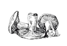 Иллюстрация к книге — 365 рецептов на каждый день [i_161.jpg]