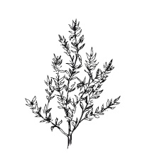 Иллюстрация к книге — 365 рецептов на каждый день [i_162.jpg]