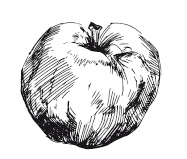 Иллюстрация к книге — 365 рецептов на каждый день [i_165.jpg]