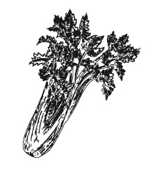 Иллюстрация к книге — 365 рецептов на каждый день [i_167.jpg]