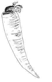 Иллюстрация к книге — 365 рецептов на каждый день [i_170.jpg]