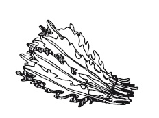 Иллюстрация к книге — 365 рецептов на каждый день [i_171.jpg]