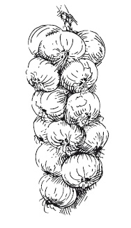 Иллюстрация к книге — 365 рецептов на каждый день [i_178.jpg]