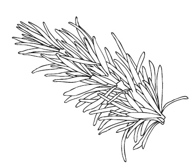 Иллюстрация к книге — 365 рецептов на каждый день [i_187.jpg]