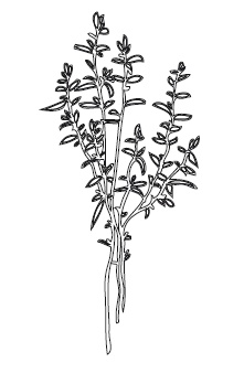 Иллюстрация к книге — 365 рецептов на каждый день [i_191.jpg]