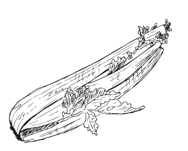 Иллюстрация к книге — 365 рецептов на каждый день [i_192.jpg]